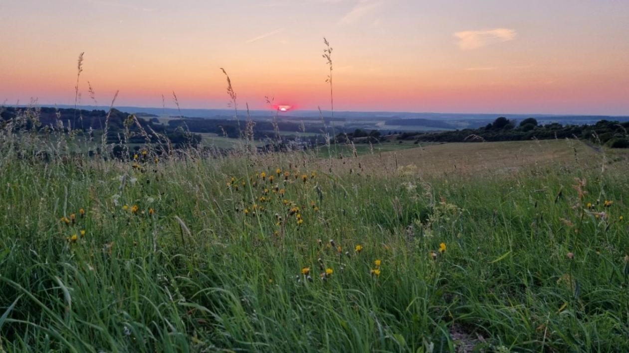 Ferienwohnung Eifelweh - Lieblingszeit Berndorf  Luaran gambar